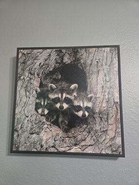 Raccoons Wall Art Frame